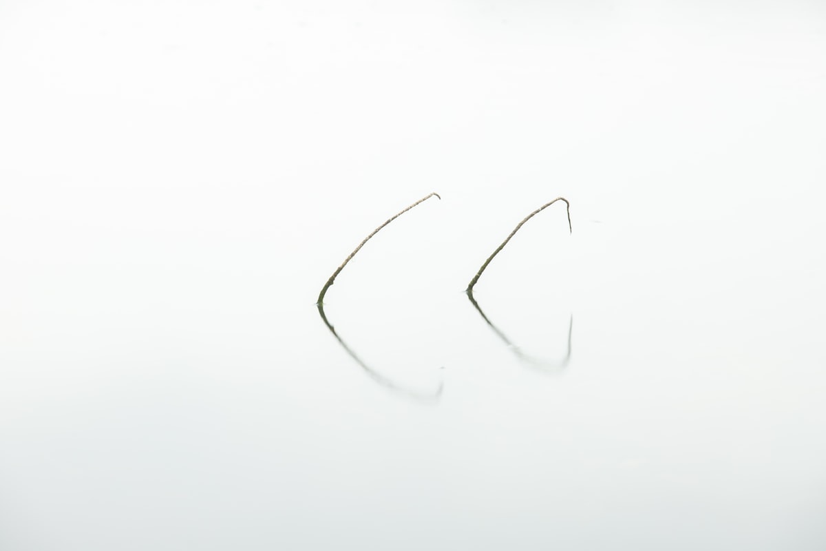 Silver Twig Threaders